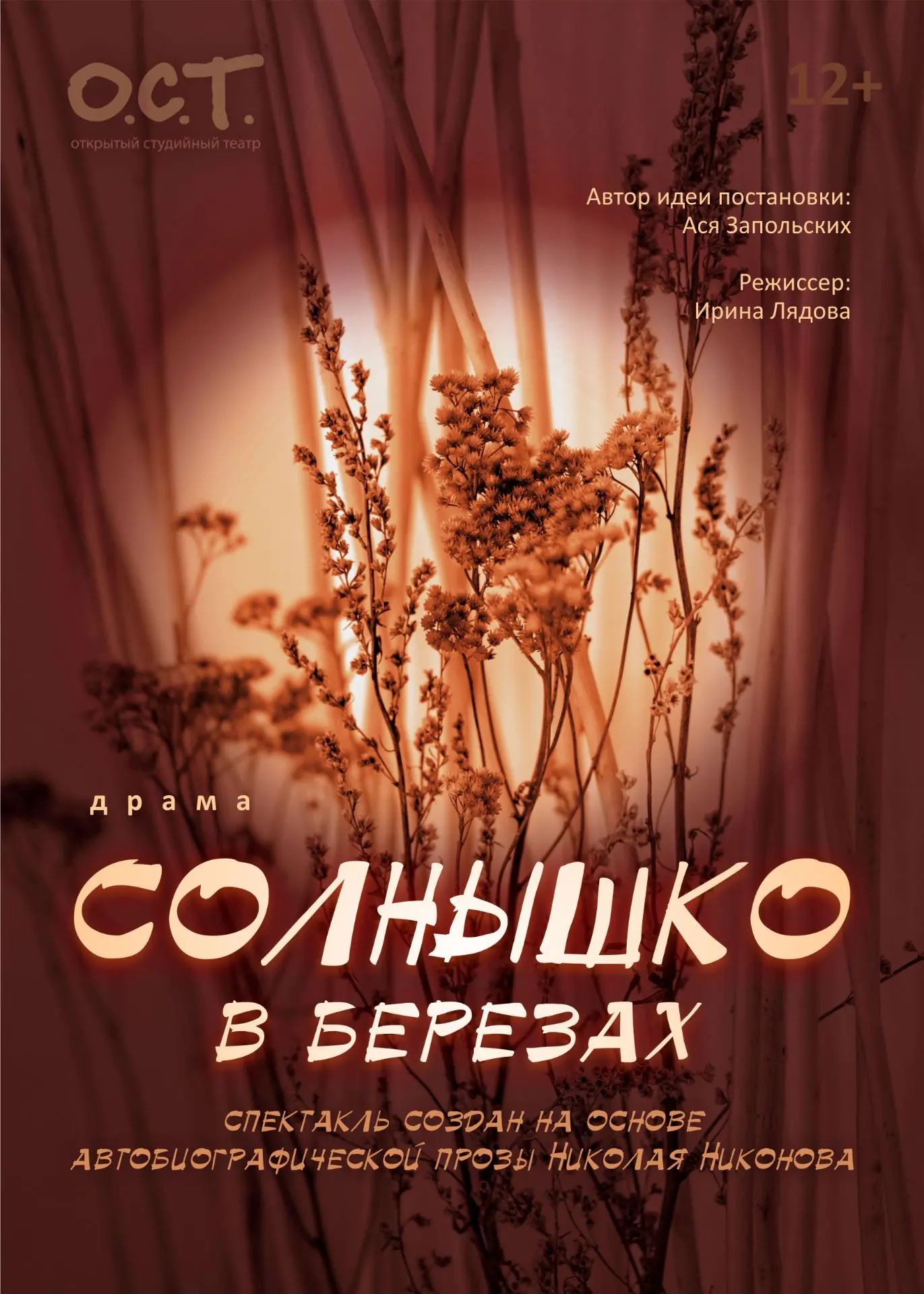 Спектакль «Солнышко в березах»